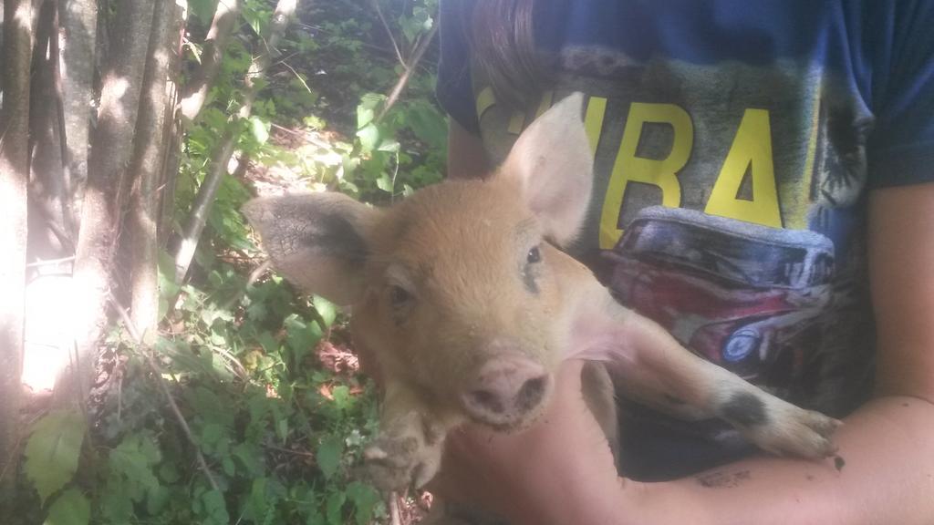 Giunasco Bagnone Esterno foto