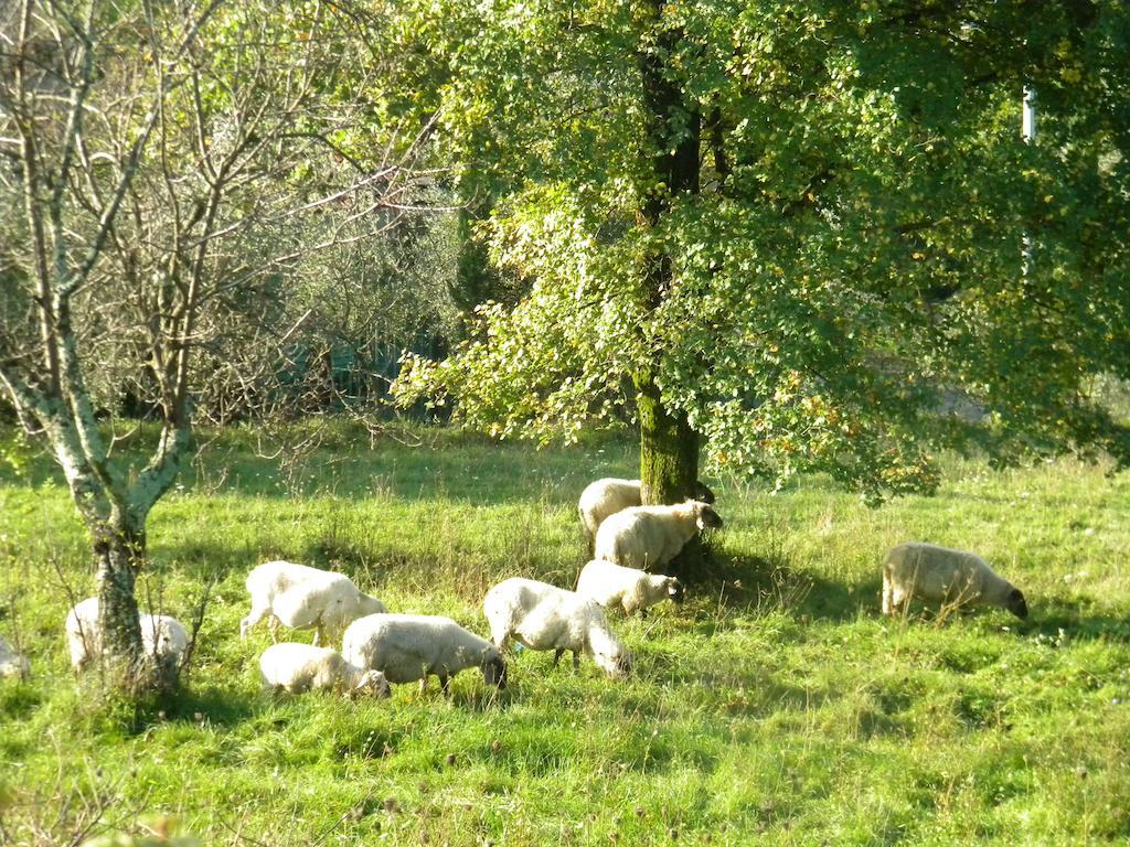Giunasco Bagnone Esterno foto