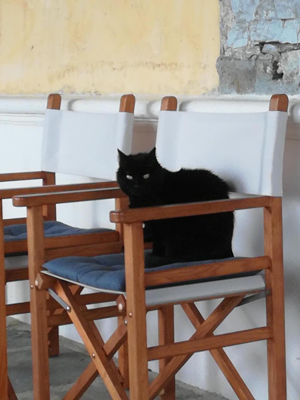 Giunasco Bagnone Esterno foto